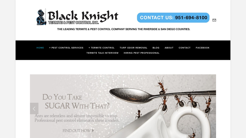 Termite & Pest Control | Black Knight Pest - Temecula CA