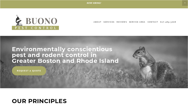 Professional Pest and Rodent Control Services in MA and RI | Buono Pest Control | Belmont MA