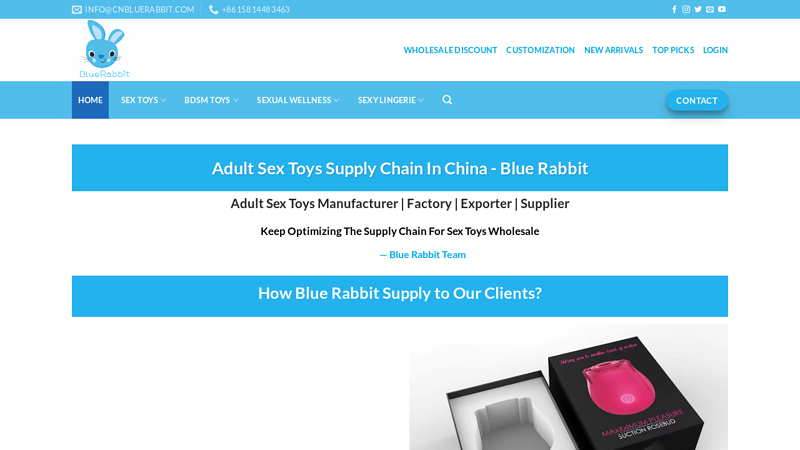 Adult Sex Toys Supply Chain- Blue Rabbit ?