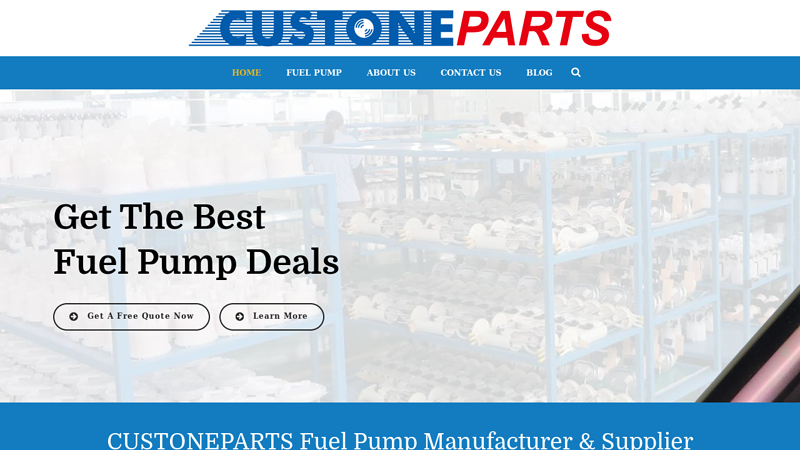 Fuel Pump Manufacturer & Supplier - CustoneParts