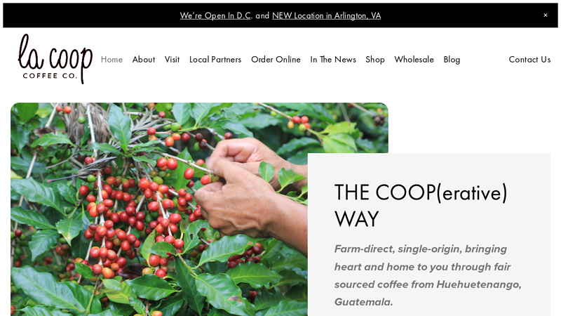 La Coop Coffee | Direct Trade Specialty Coffee from Guatemala