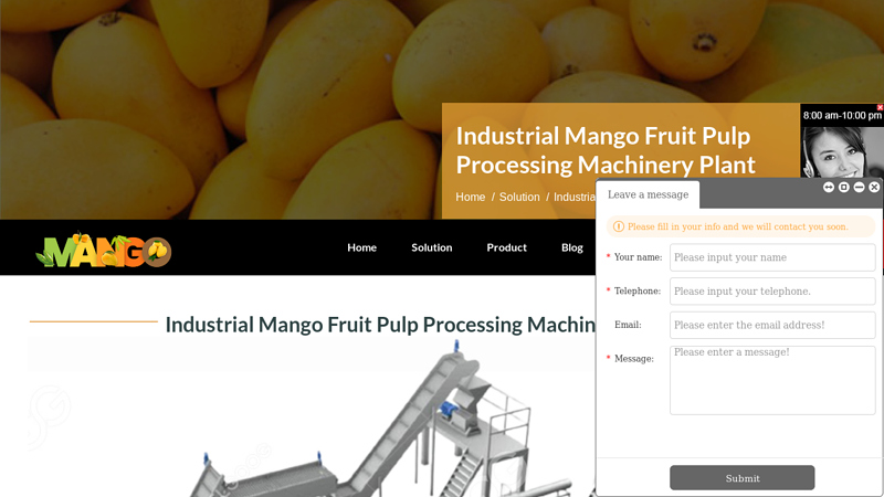 Image of Industrial Mango Fruit Pulp Processing Machinery Plant