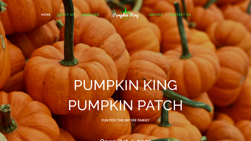 Pumpkin King Pumpkin Patch