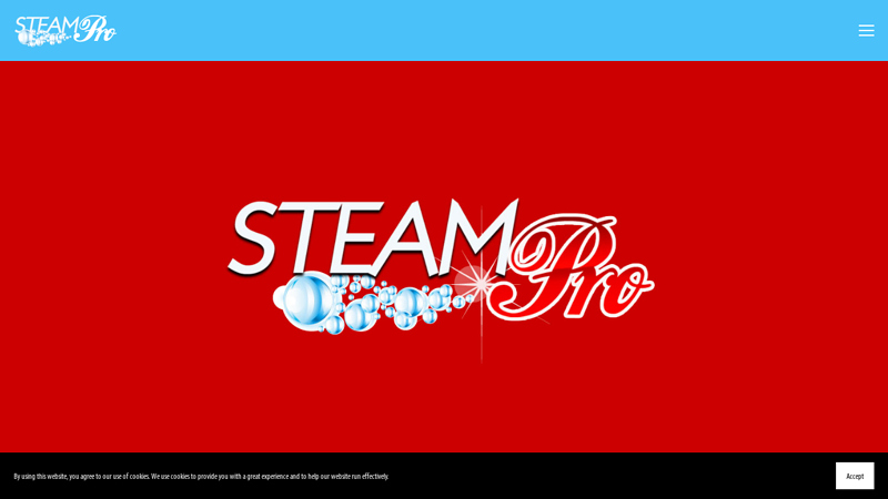 Steam Pro