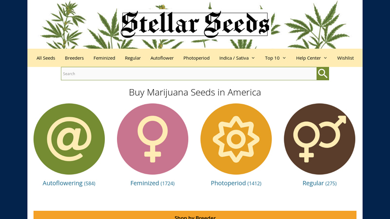 Organic Cannabis Seeds - Stellar Seeds