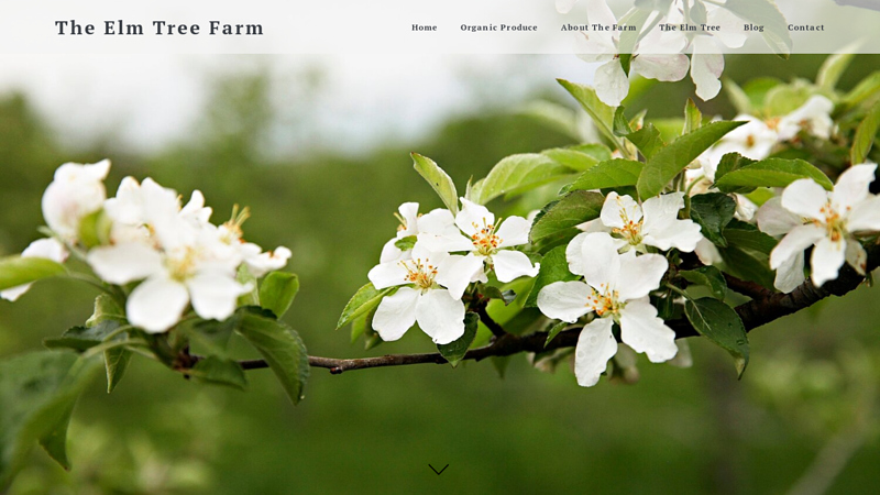 The Elm Tree Farm