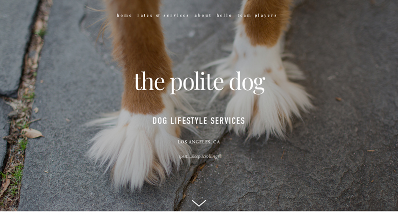 The Polite Dog, Los Angeles