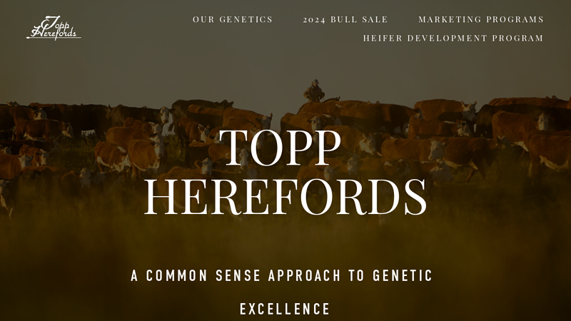 Topp Herefords