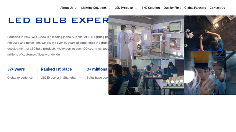 Top LED Bulb Supplier with Samsung LED chips - Wellmax