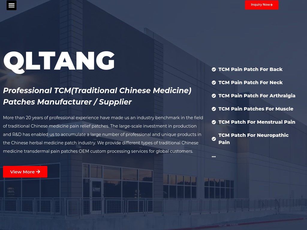 Professional TCM(Traditional Chinese Medicine) Pain Patch Manufacturer / Supplier