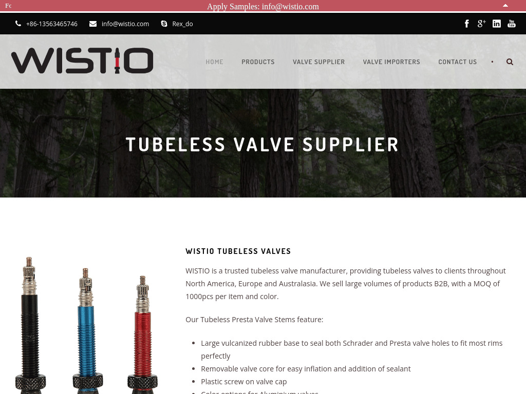 Tubeless valve Supplier - Wistio